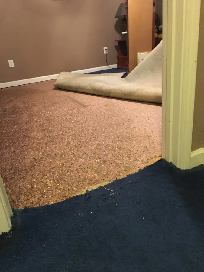 Carpet pad removal revealing water damage during Water Mitigation Services in Buckhall