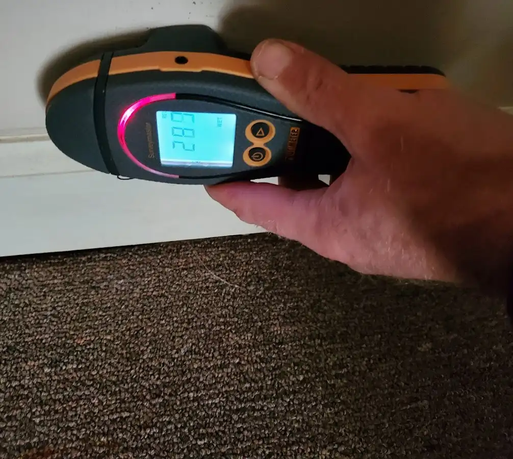 Moisture detection at baseboard during Mold Inspection & Testing in Buckhall